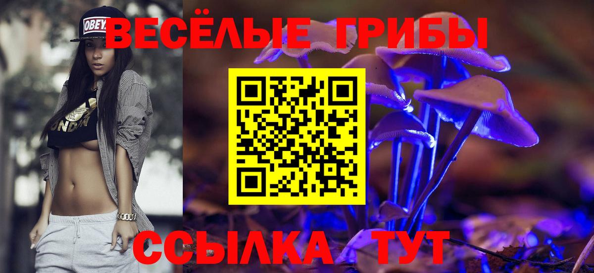 Псилоцибиновые грибы ЛСД Дербент