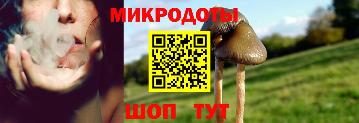 Дербент  Галлюциногенные грибы Psilocybe  Вход с VPN 